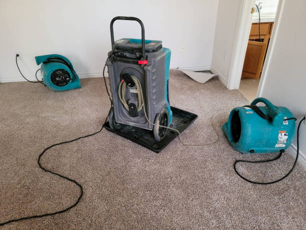 Reliable Biltmore Forest, NC Water damage restoration Solutions