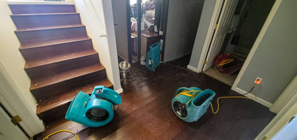 24/7 water damage repair in Biltmore Forest, NC