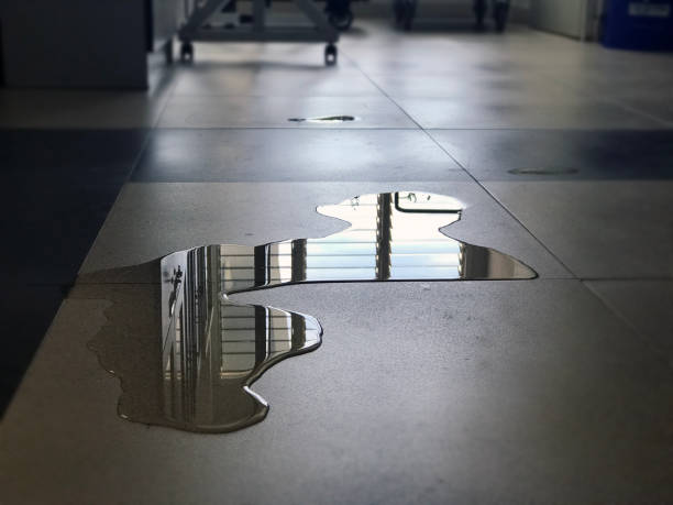 Best Water damage restoration near me  in Biltmore Forest, NC