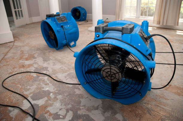 Best Residential water damage restoration  in Biltmore Forest, NC