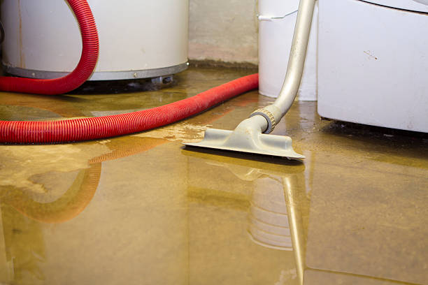 Best Carpet water damage restoration  in Biltmore Forest, NC