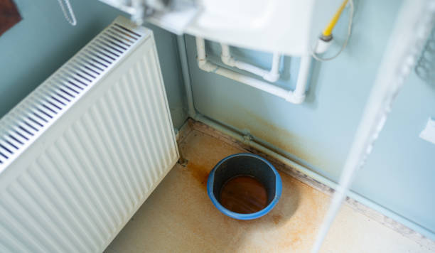Best Local water damage restoration  in Biltmore Forest, NC