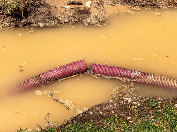 Best Basement water damage restoration  in Biltmore Forest, NC
